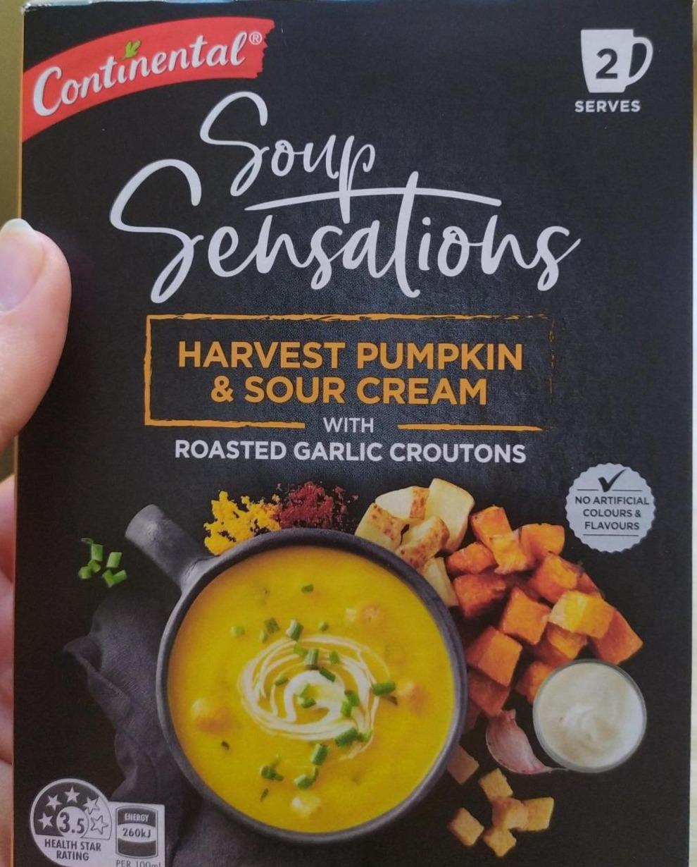 Fotografie - Soup sensations Harvest pumpkin & sour cream