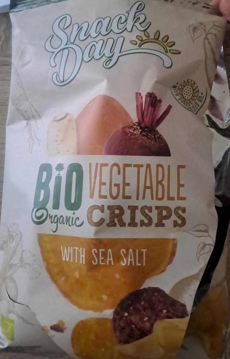 Fotografie - Bio Organic Vegetable Crisps with sea salt Snack Day