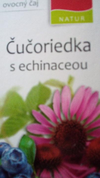 Fotografie - Čučoriedka s echinaceou čaj Apotheke
