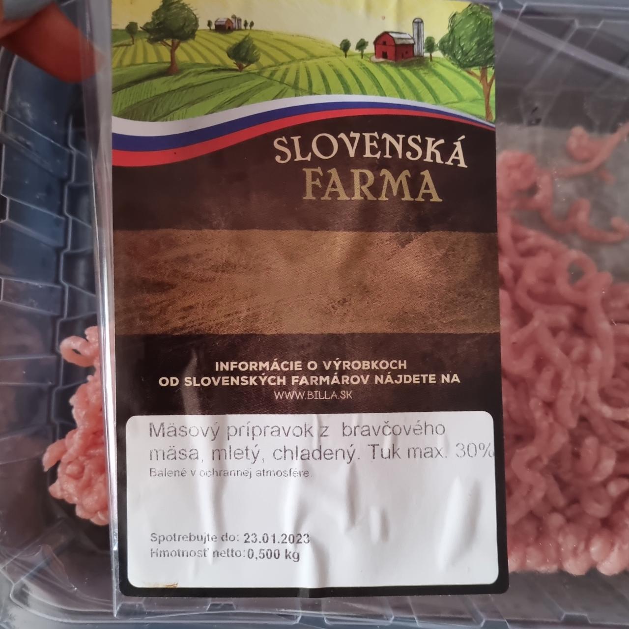 Fotografie - Mäsový prípravok z bravčového mäsa, mletý, tuk max 30% Slovenská farma