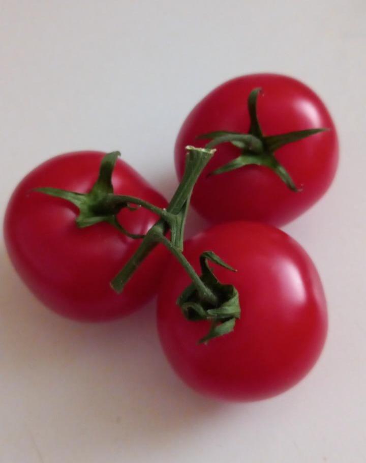 Fotografie - Veselá paradajka