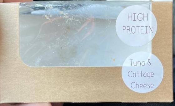 Fotografie - high protein tuna & cottage cheese sandwich