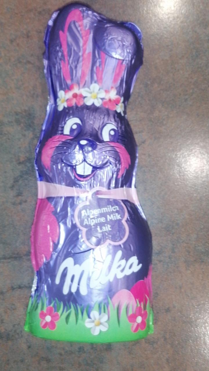 Fotografie - čokoládový zajac Milka