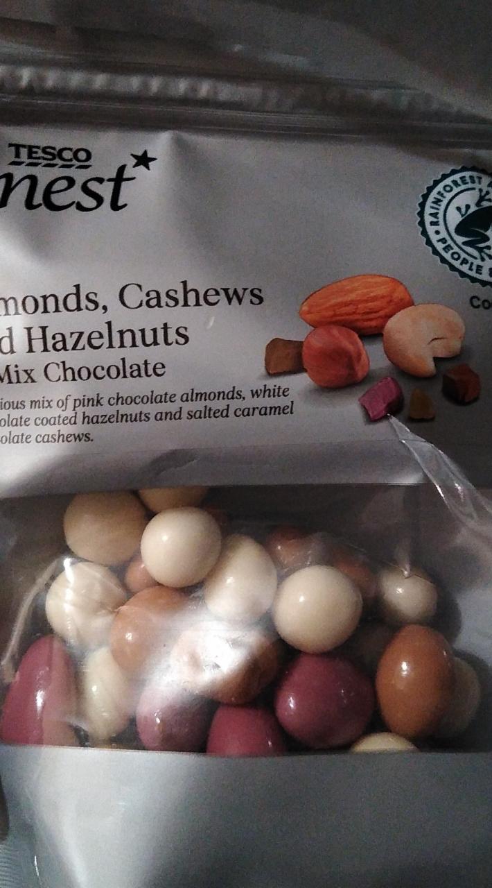 Fotografie - Almonds, Cashews and Hazelnuts in Mix Chocolate