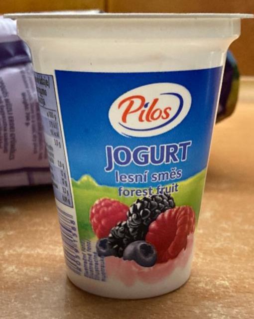 Fotografie - Jogurt Lesní směs Forest Fruit Pilos