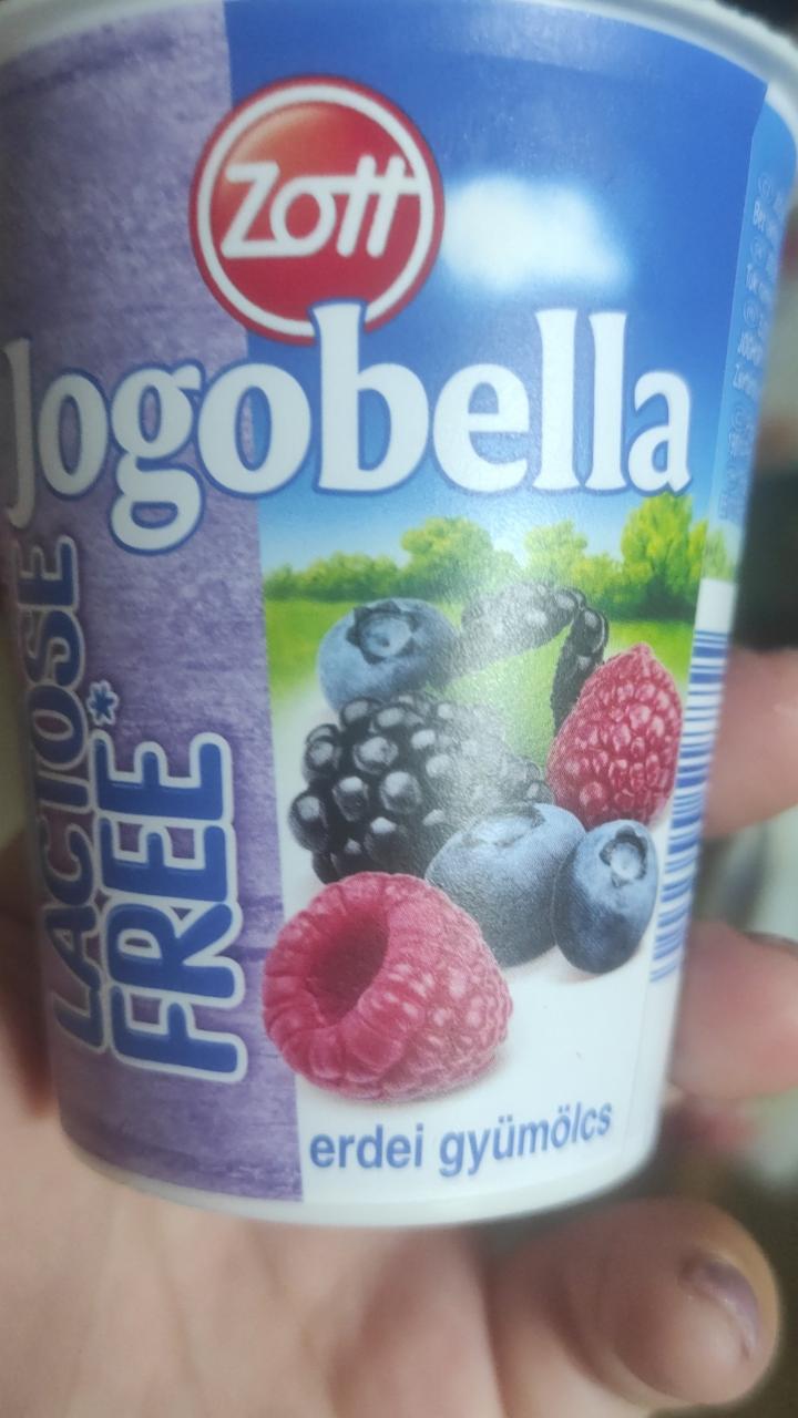 Fotografie - Jogobella Lactose Free Lesné ovocie