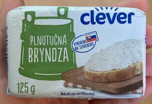 Fotografie - Plnotučná bryndza Clever