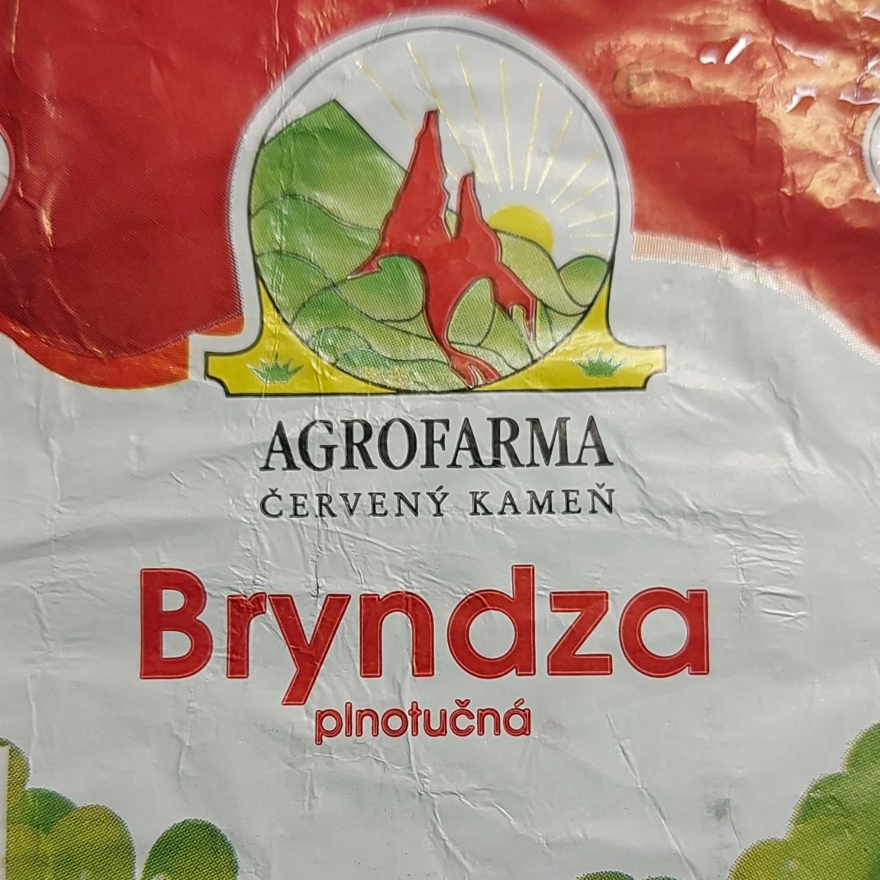 Fotografie - Agrofarma Červený kameň bryndza