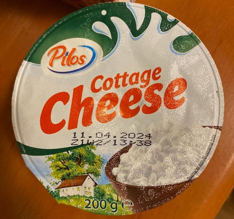 Fotografie - Cottage Cheese Pilos