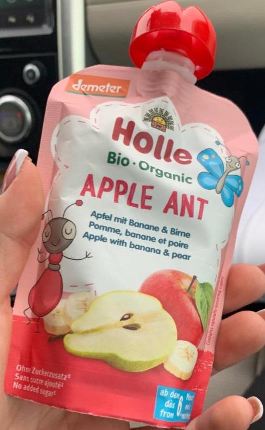 Fotografie - Holle Apple Ant 
