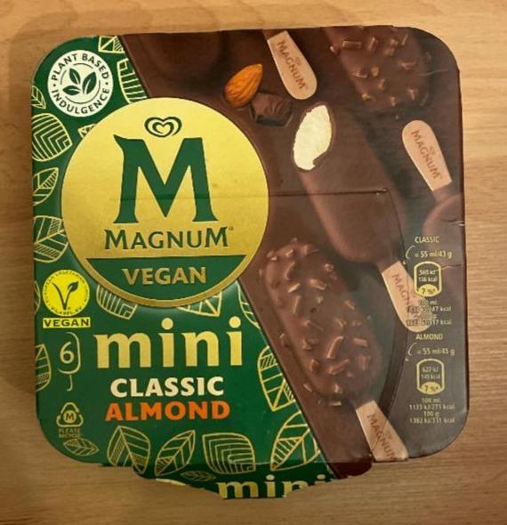 Fotografie - Magnum Vegan Mini Almond Algida