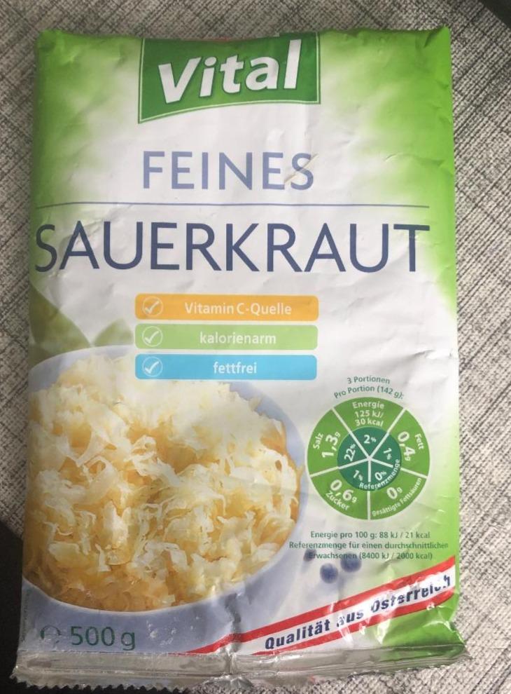 Fotografie - Sauerkraut vital