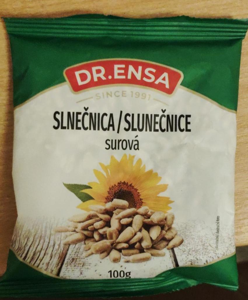 Fotografie - Slnečnica surová Dr.Ensa