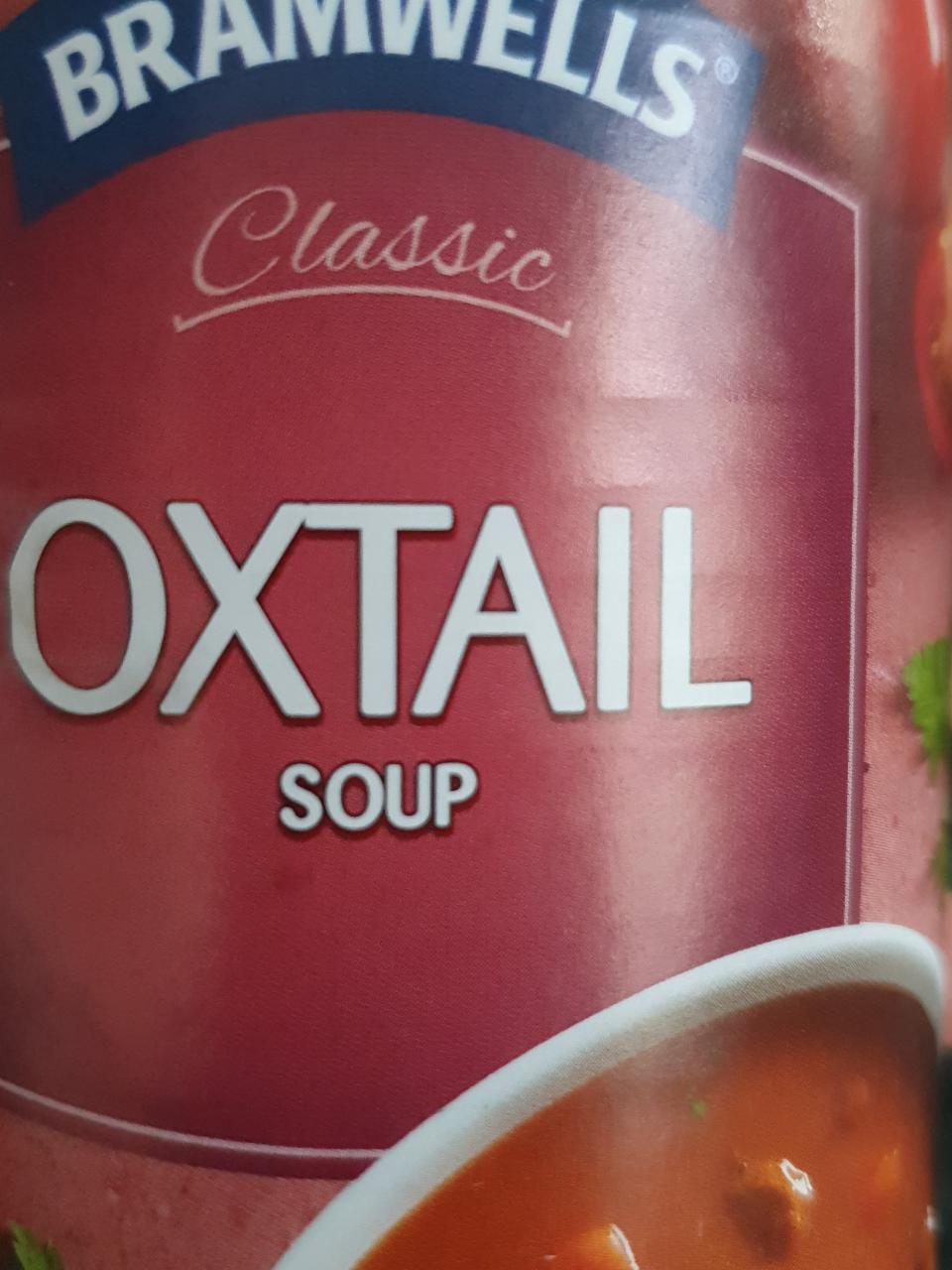 Fotografie - oxtail soup 