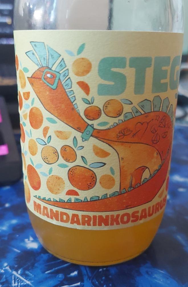 Fotografie - Stego Mandarinkosaurus