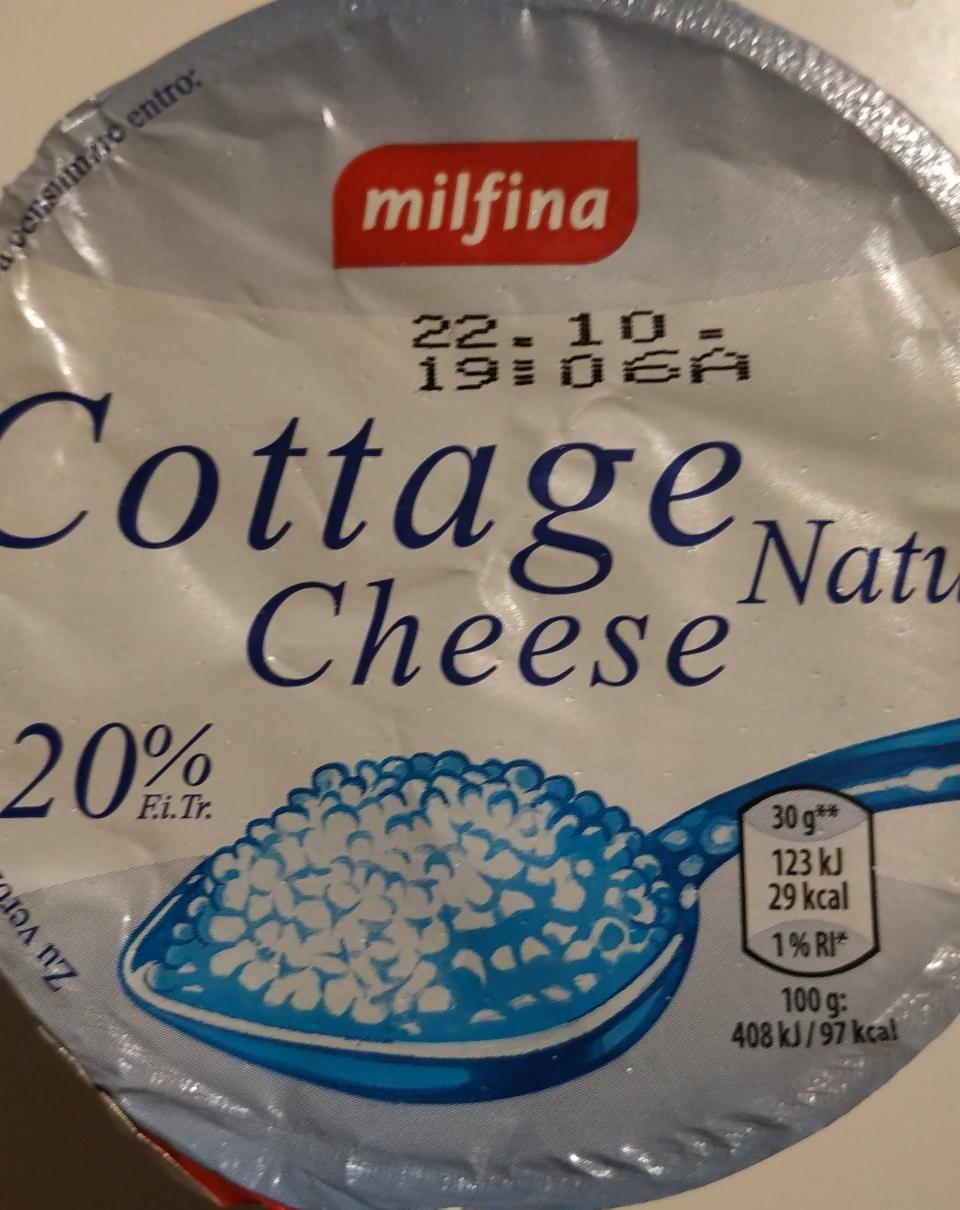 Fotografie - Cottage Cheese Natur Milfina