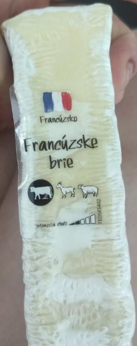 Fotografie - Francúzske brie