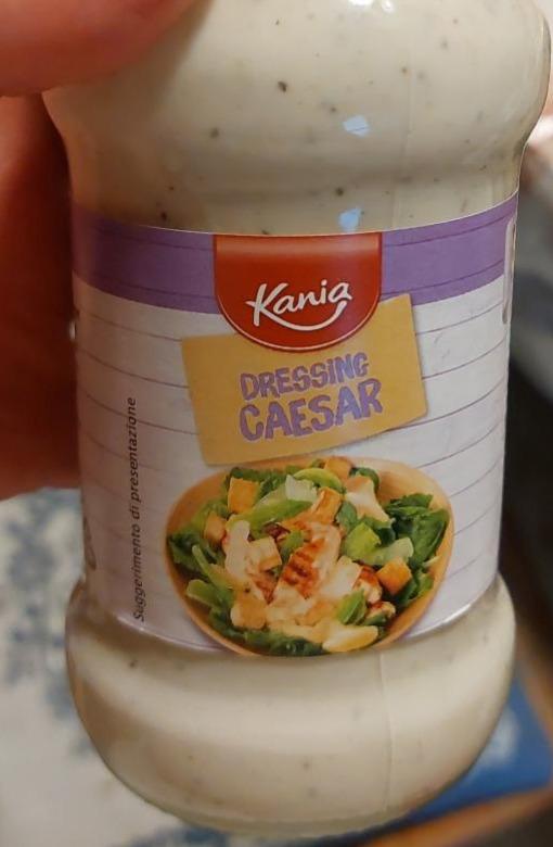 Fotografie - Caesar dressing Kania