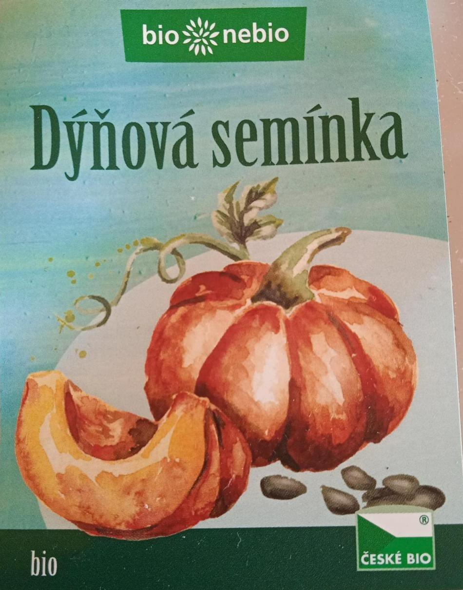 Fotografie - Dýňová semínka bio nebio