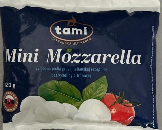 Fotografie - Mini mozzarella tami