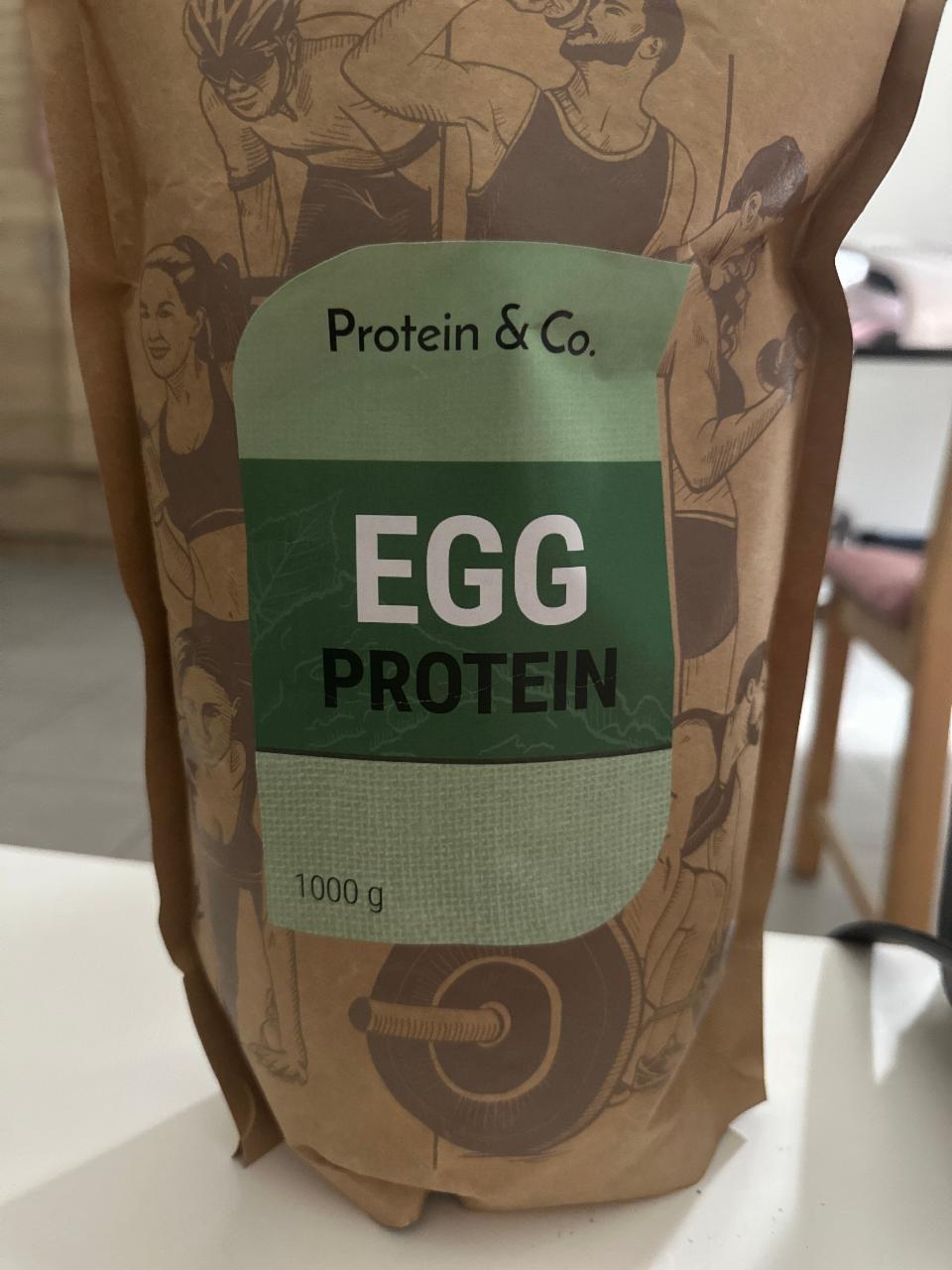 Fotografie - Egg Protein Protein & Co.
