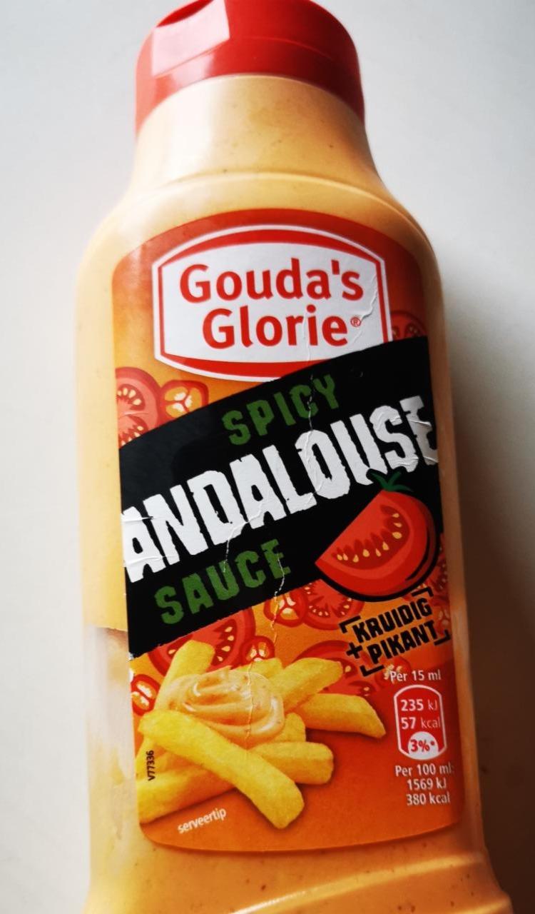 Fotografie - Spicy Andalouse Sauce Gouda's Glorie