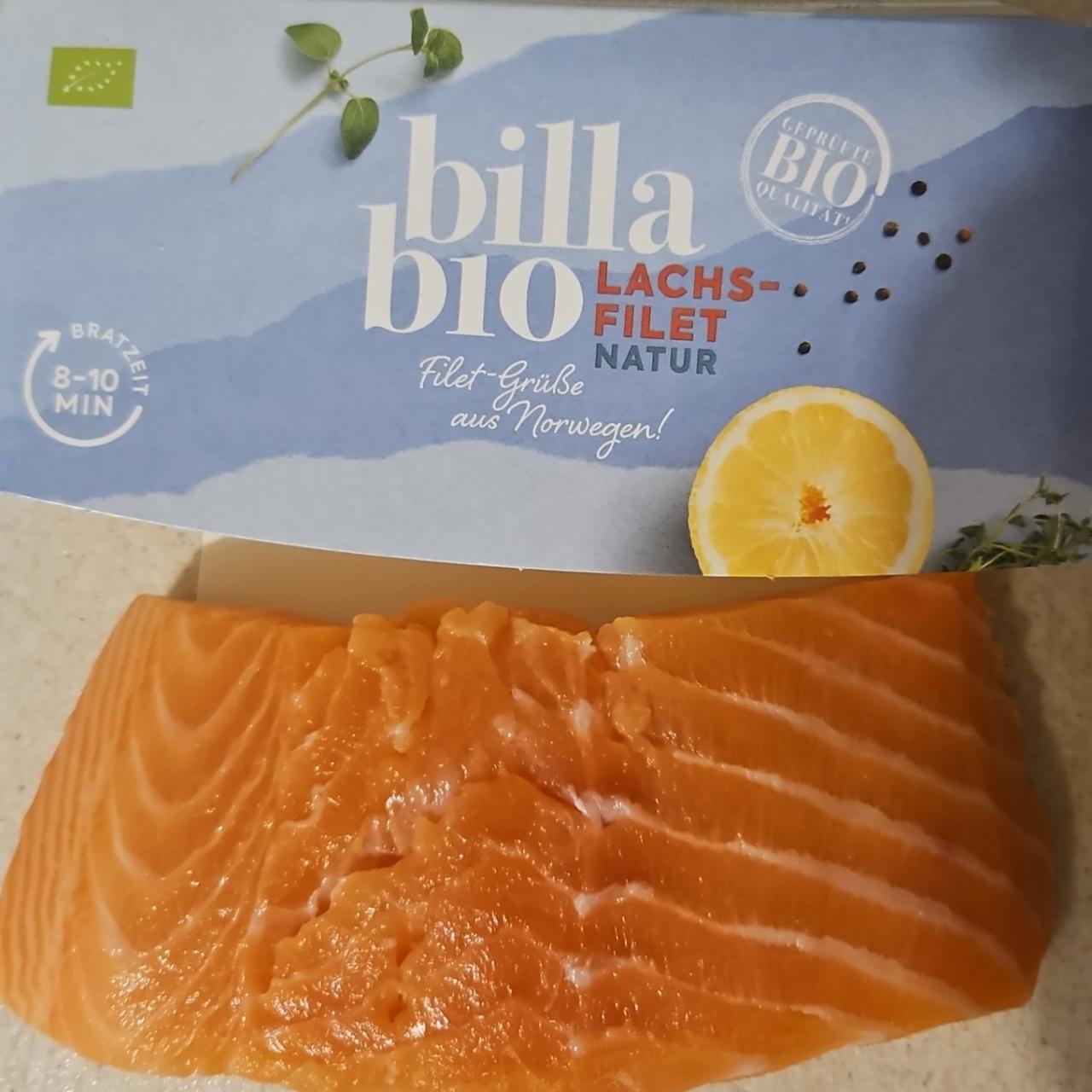 Fotografie - Lachs-Filet Natur Billa Bio