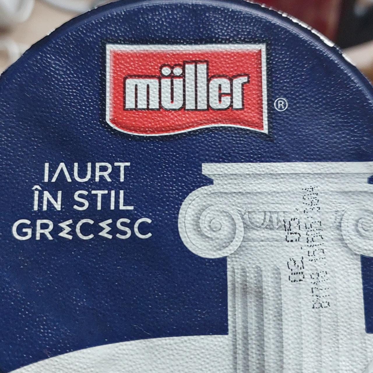 Fotografie - Iaurt in still grecesc Müller
