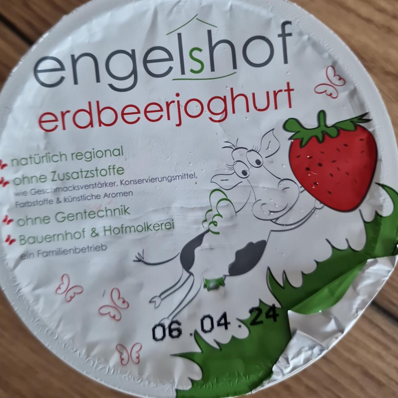 Fotografie - Erdbeerejoghurt Engelshof