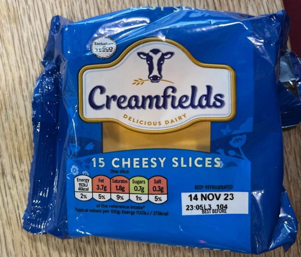 Fotografie - 15 Cheesy slices Creamfields