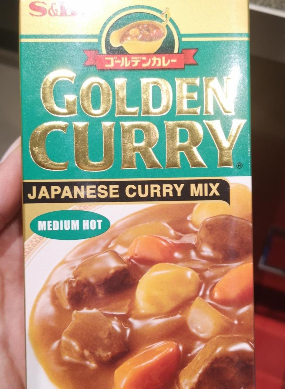 Fotografie - Golden curry Japanese curry mix Medium hot