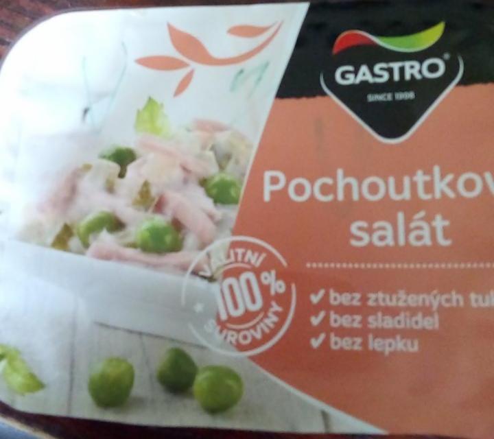 Fotografie - Pochoutkový salát GASTRO