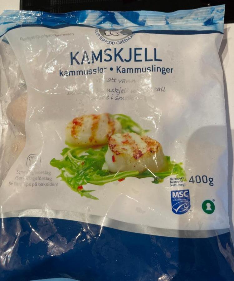 Fotografie - Kamskjell