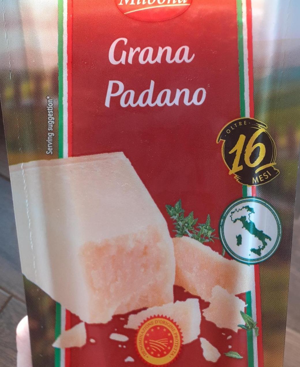 Fotografie - Grana Padano Milbona