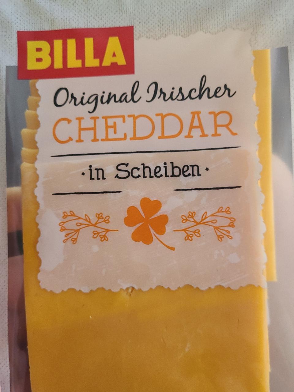 Fotografie - Billa cheddar