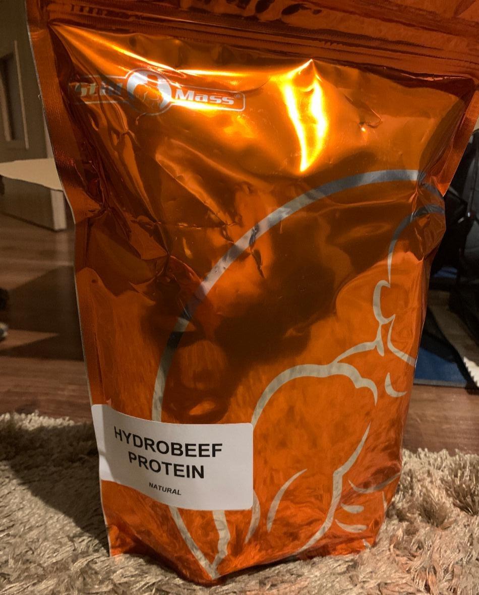 Fotografie - Hydrobeef Protein Natural Still Mass