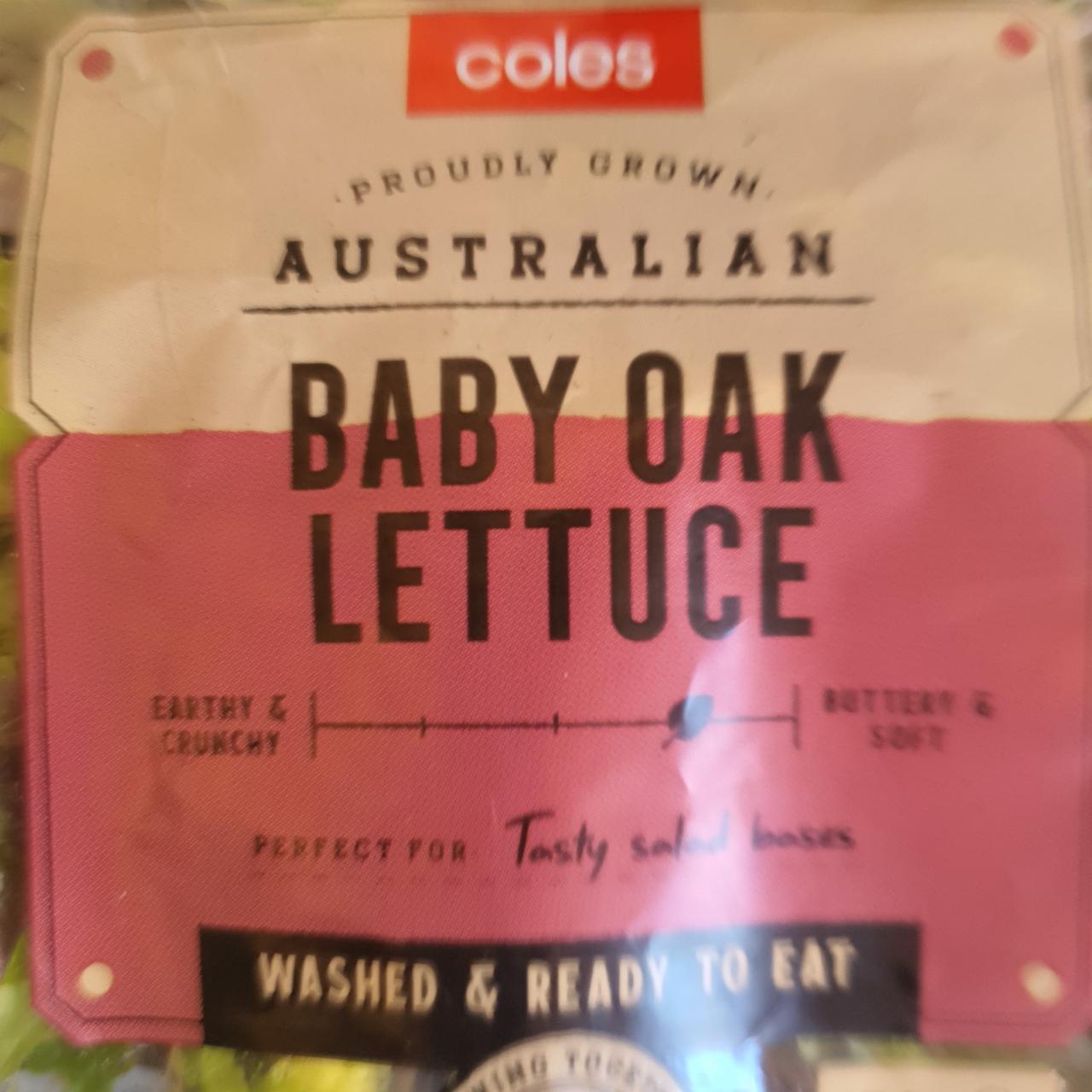 Fotografie - Baby Oak Lettuce Coles