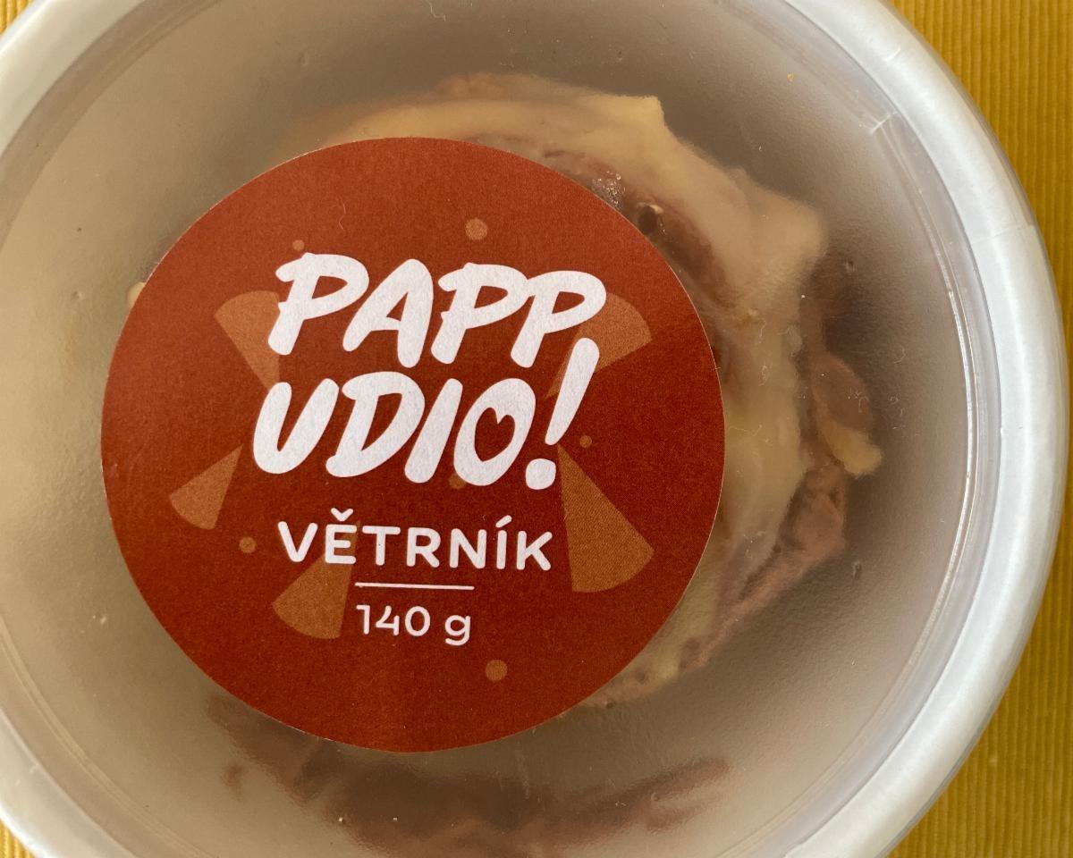 Fotografie - Větrník Papp Udio!