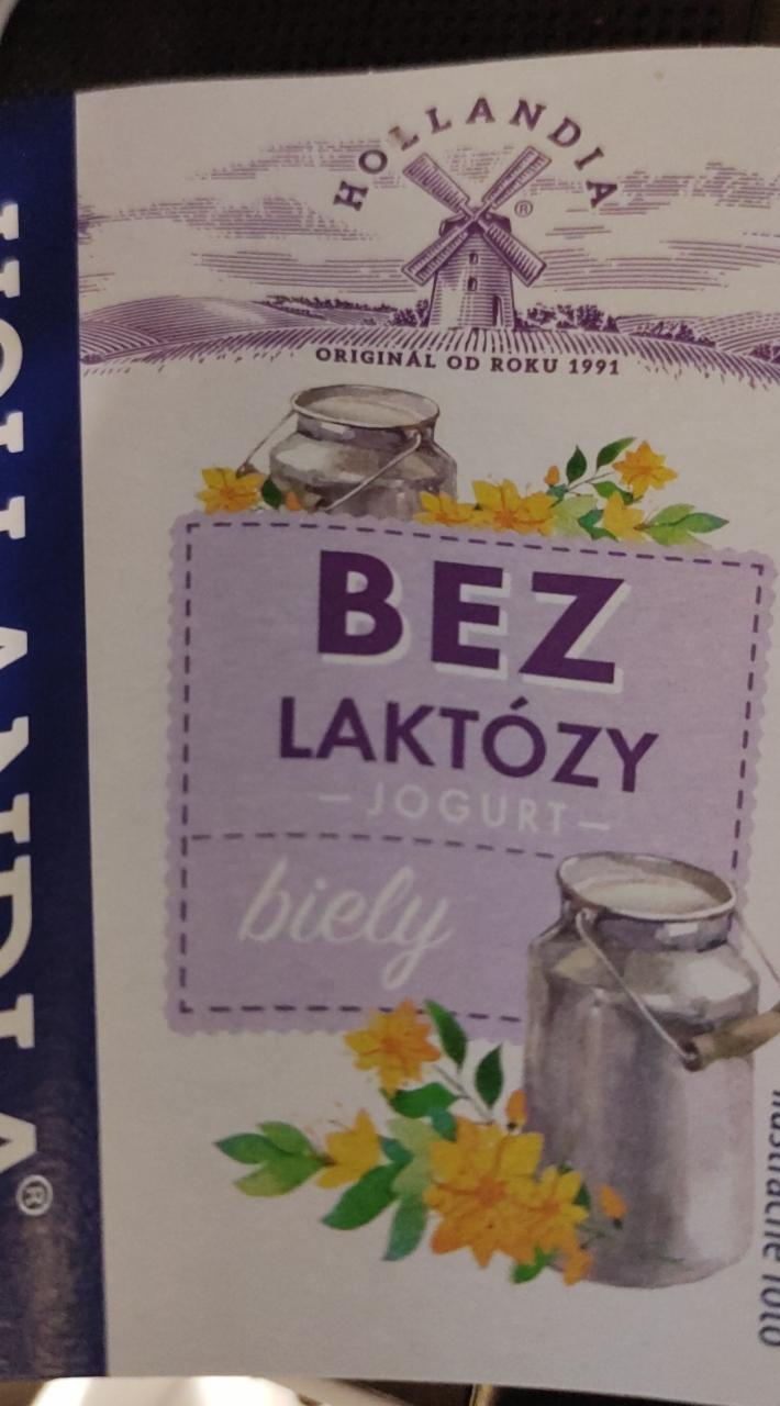 Fotografie - Bez laktózy Jogurt Biely Hollandia