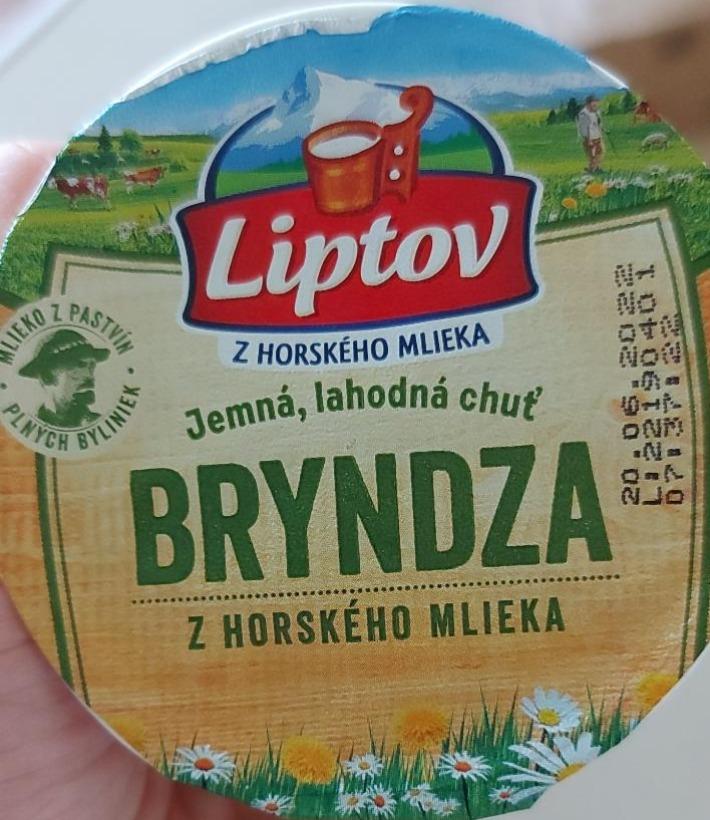 Fotografie - Bryndza z horského mlieka Liptov