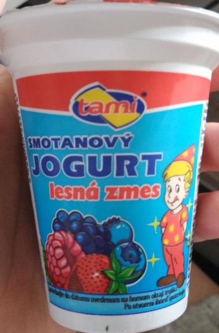 Fotografie - Tami smotanový jogurt lesná zmes