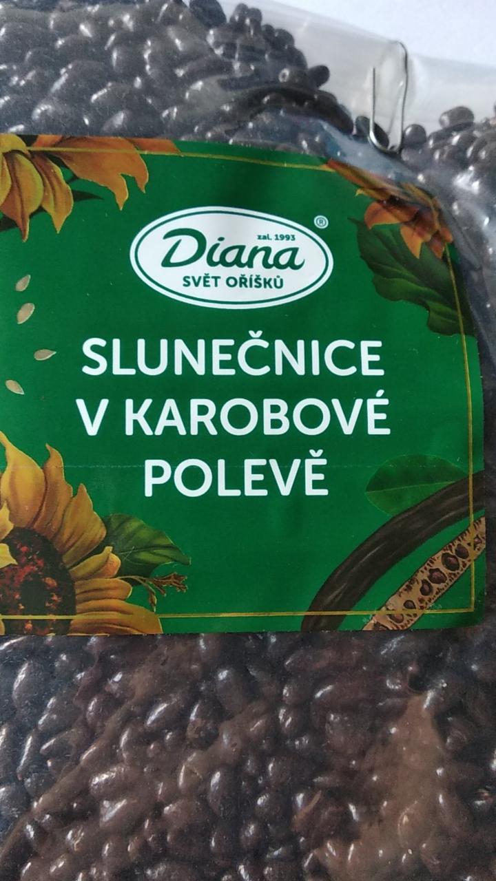 Fotografie - slnečnica v karobovej poleve diana svet ořisku