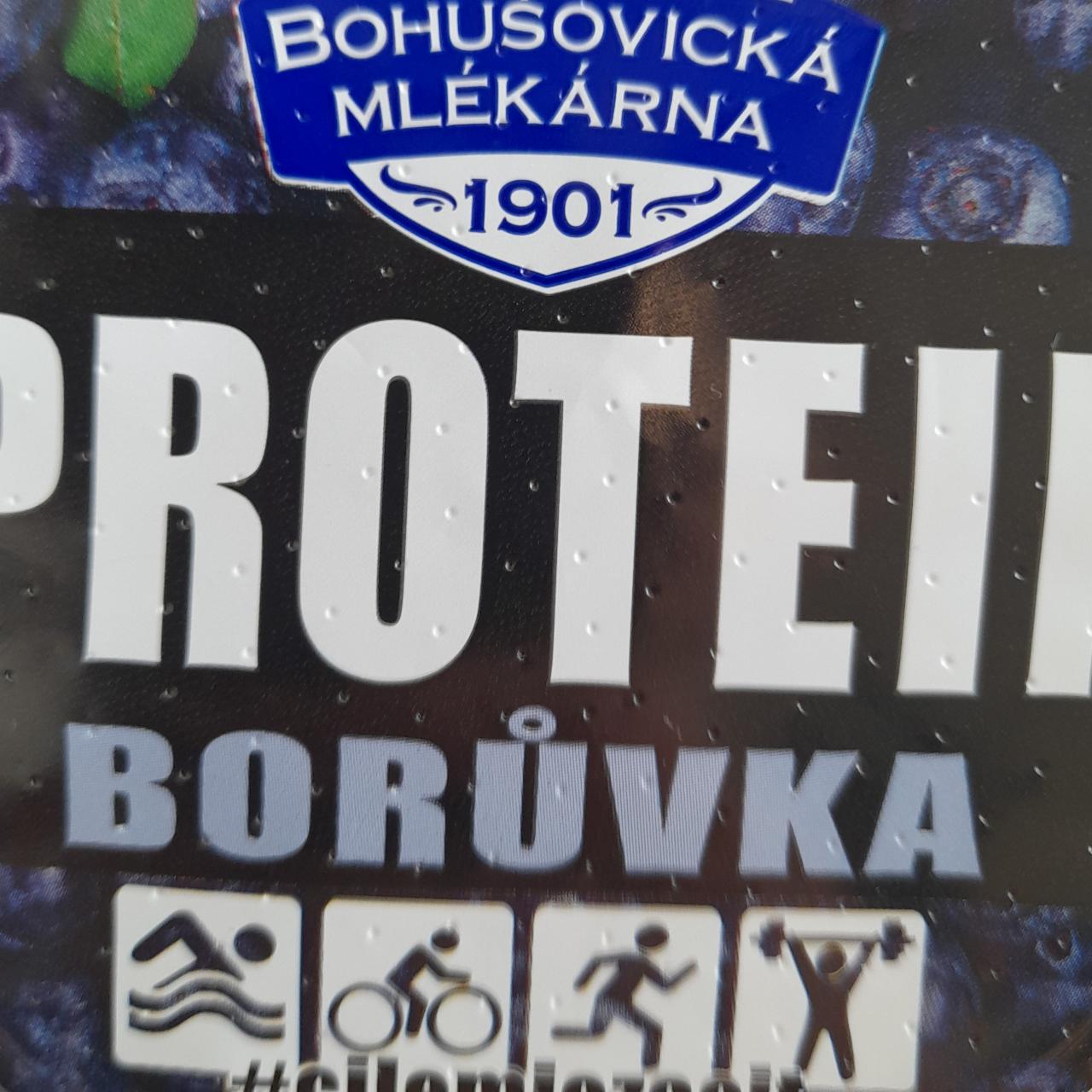 Fotografie - protein 14g Boruvka, Bohusovska mlekarna