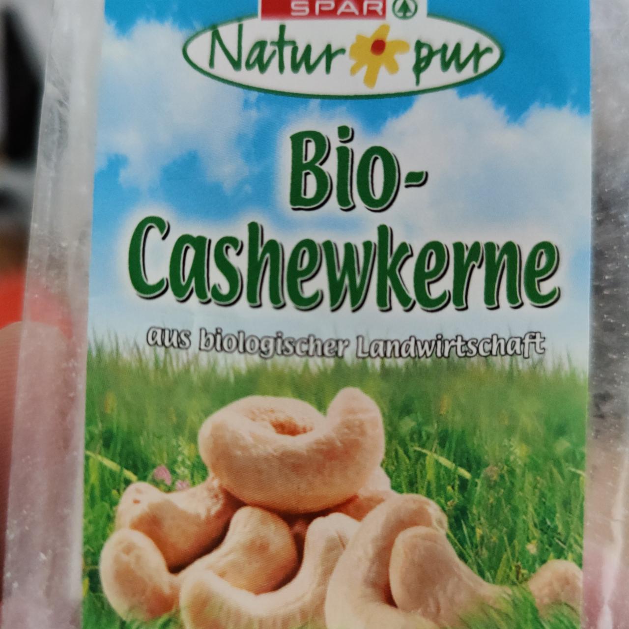 Fotografie - Bio-Cashewkerne Spar Natur pur