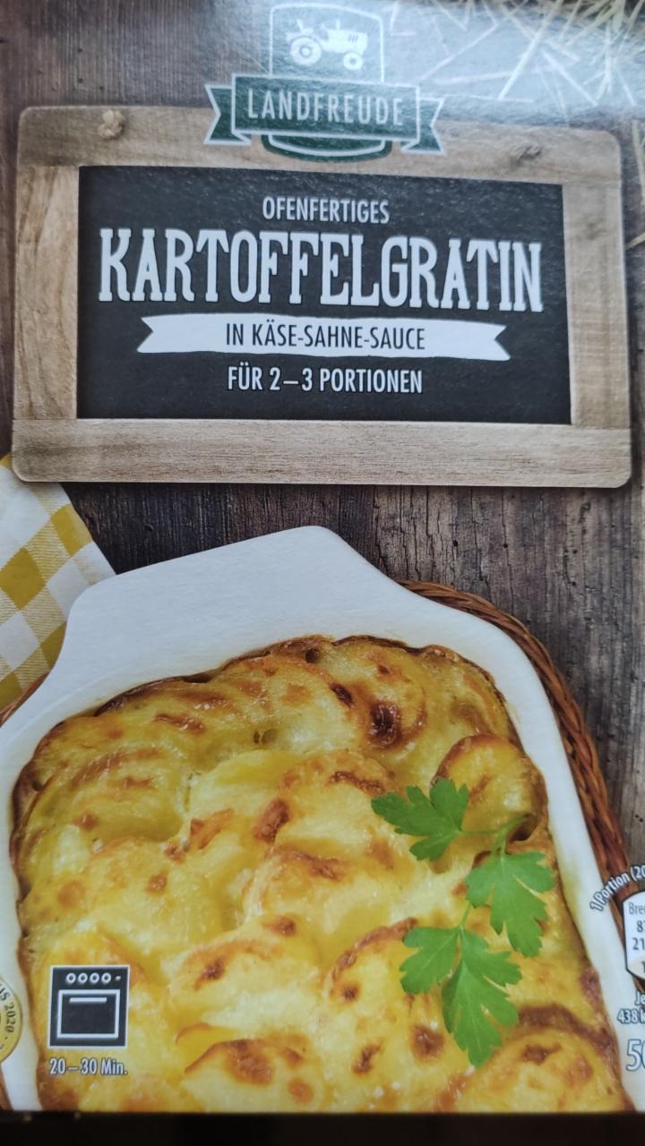 Fotografie - Kartoffelgratin