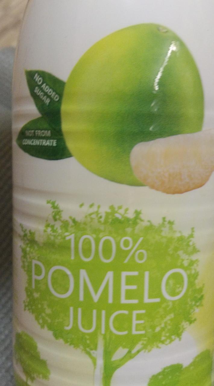 Fotografie - 100% pomelo juice