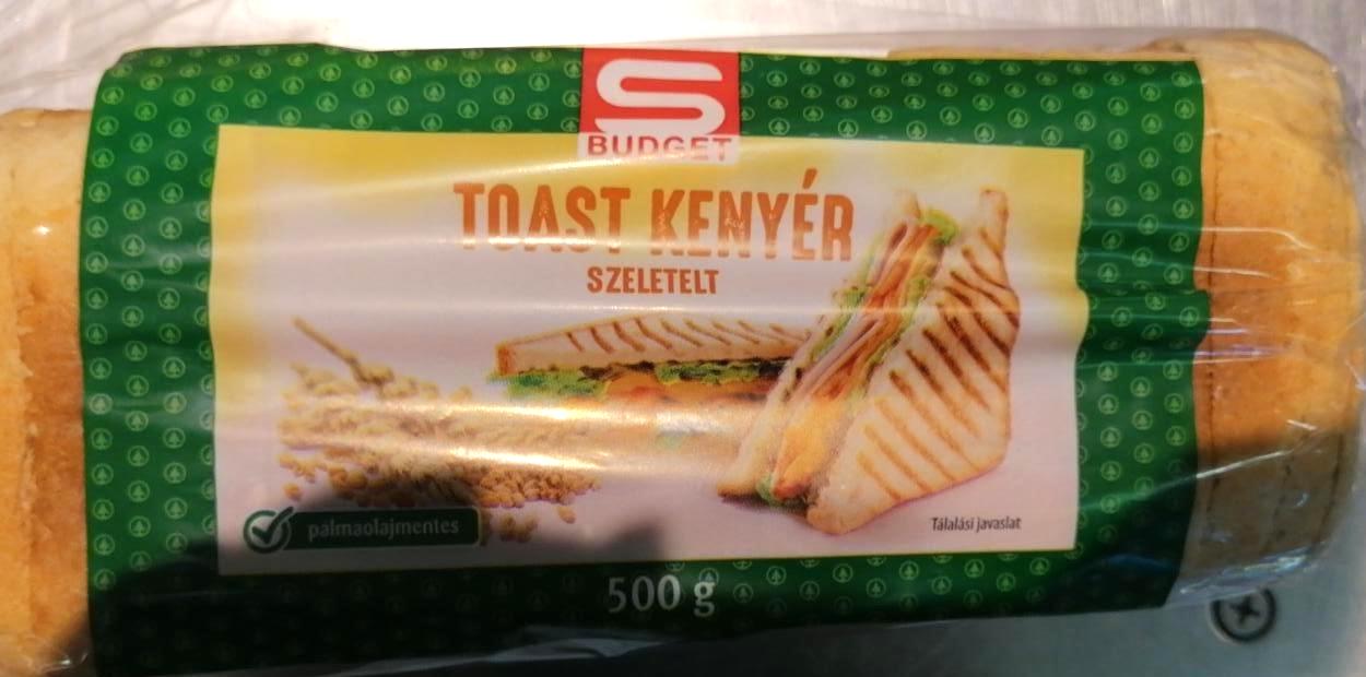 Fotografie - Toast kenyér szeletelt S Budget