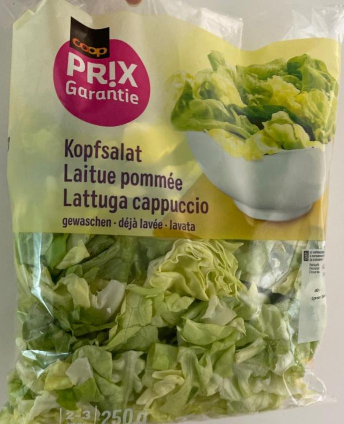 Fotografie - kopfsalat Prix