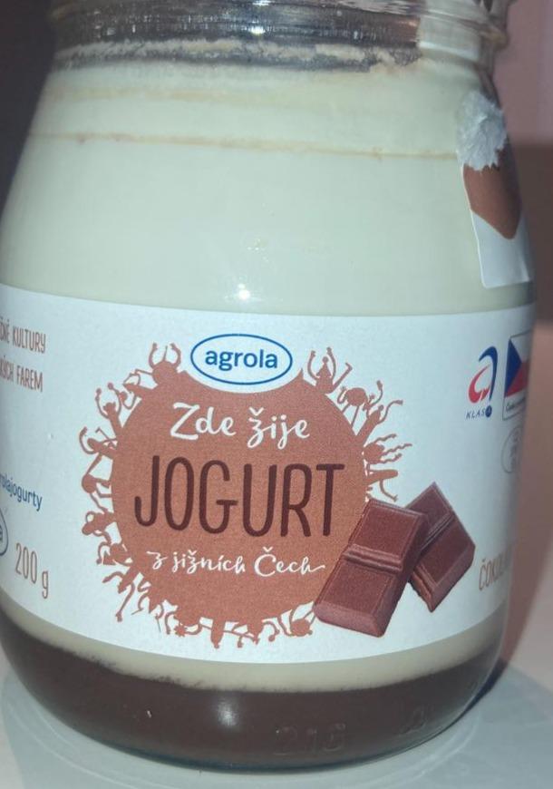 Fotografie - Jogurt z jižních čech čokoláda Agrola