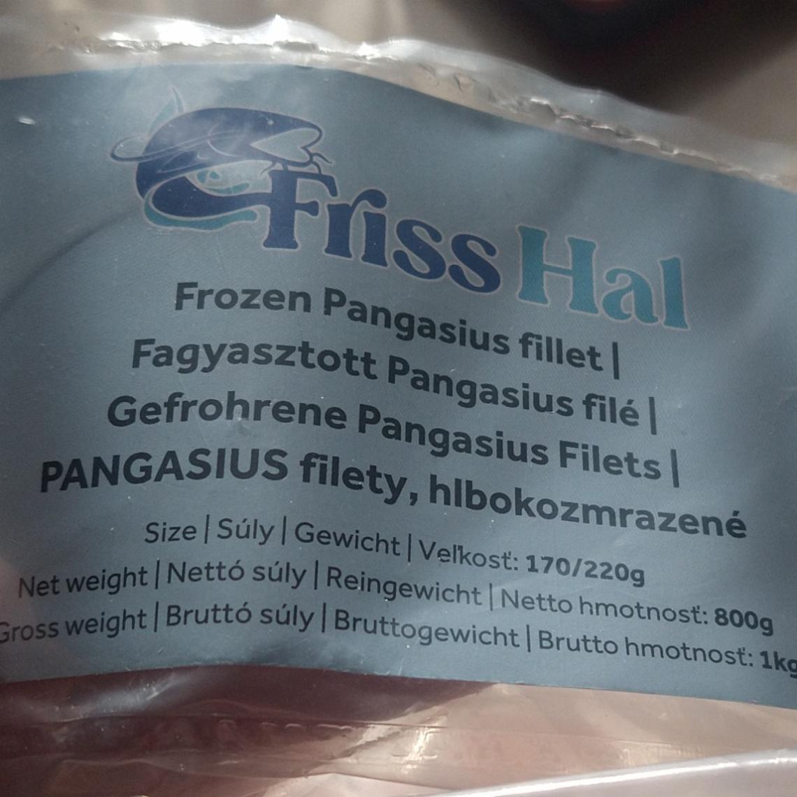 Fotografie - Pangasius filety, hlbokozmrazené Friss Hal